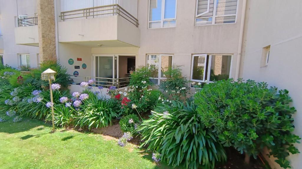 Acogedor y céntrico apartamento en Talca en sector oriente - 3