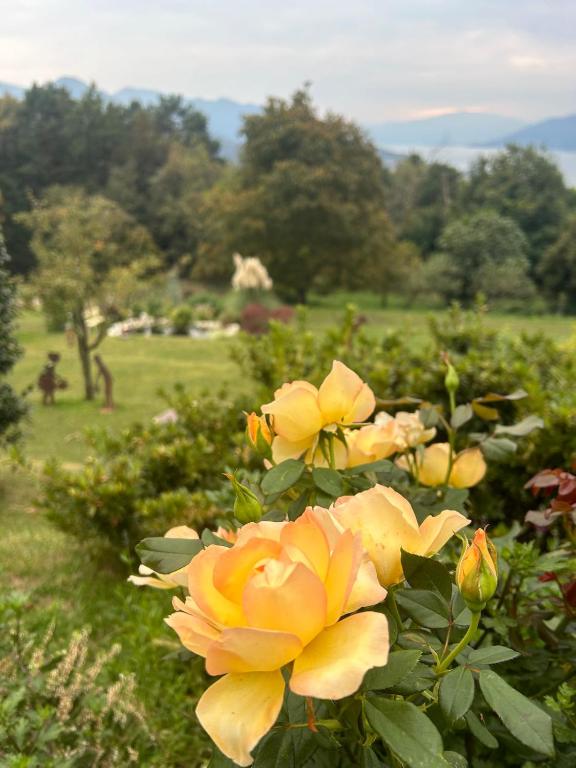 Casa Fiorita, Luino, il tempo rallenta tra lago e fiori - 4