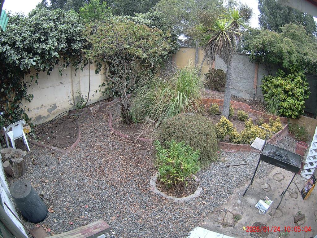 Casa algarrobo mirasol - 2