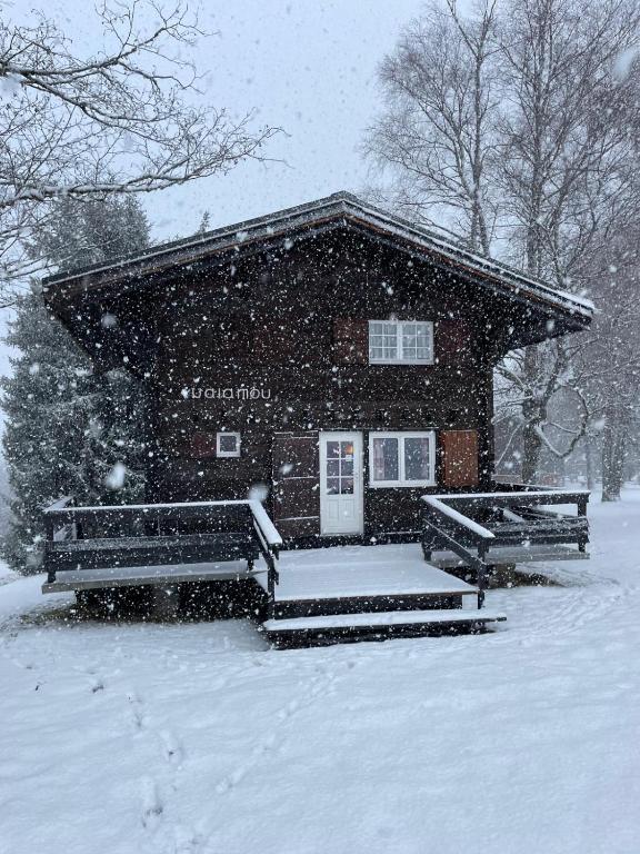 Chalet familial alpin tout en bois - 4