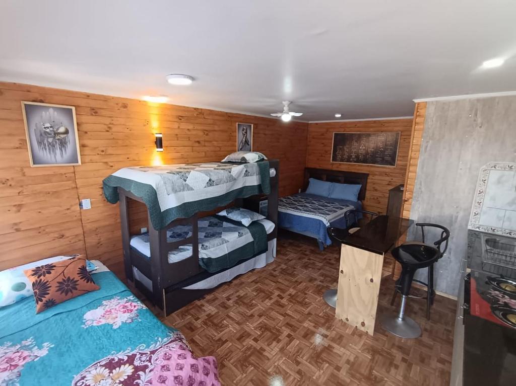Loft Playa Totoralillo cruce con ruta 5 - 4