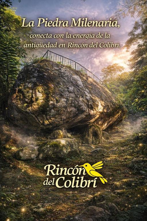 Rincón del colibrí/casa campestre/piscina/la vega - 4