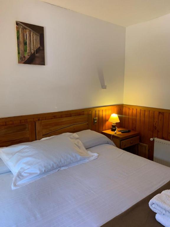 HOTEL & HOSTAL CHIL'IN, Las Trancas - 2