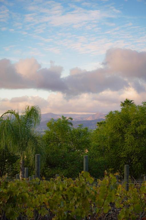 Hacienda Martlot - 4