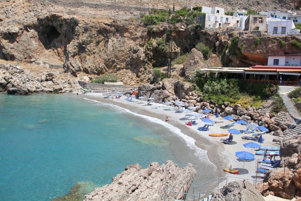 Hotel Alkyon photo