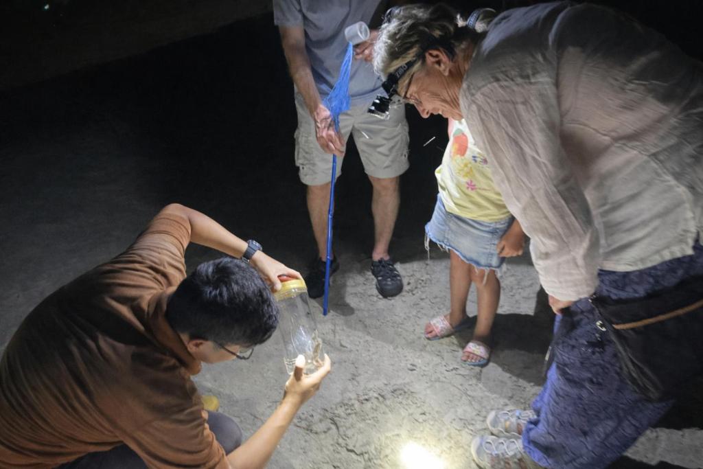 Programlehetőségek