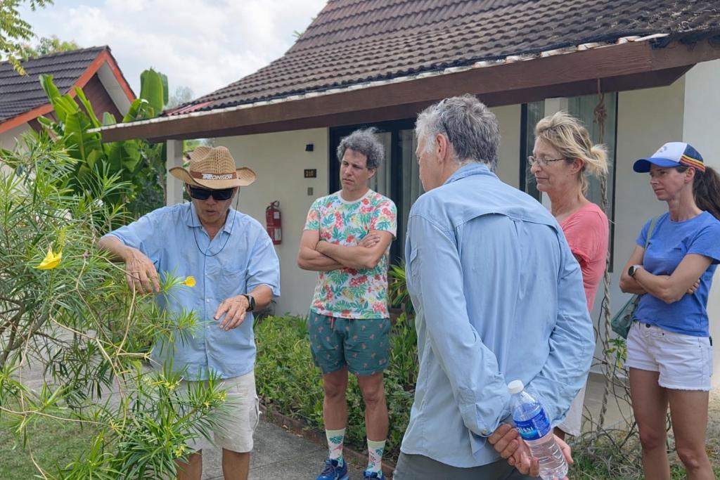 Programlehetőségek