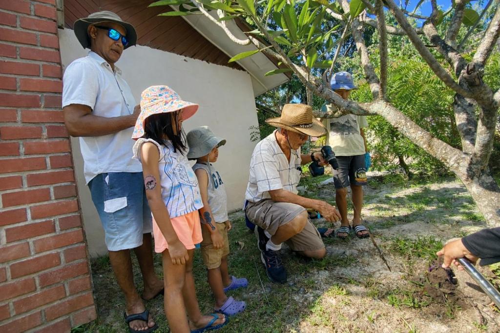 Programlehetőségek