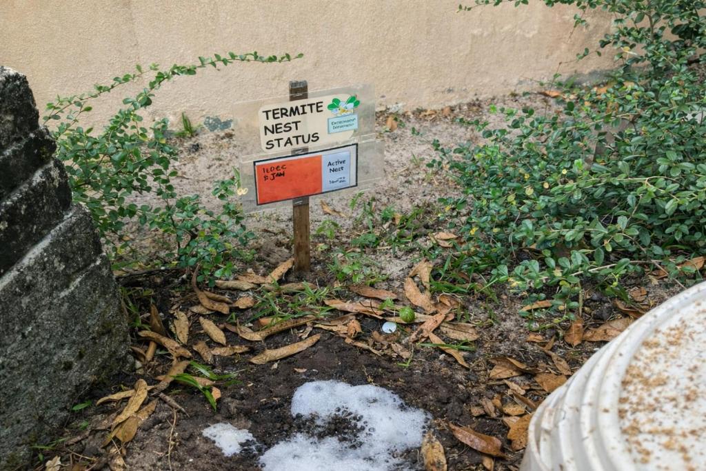 Programlehetőségek