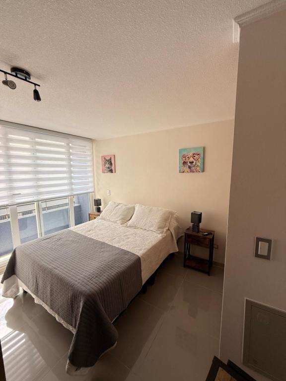 Acogedor Studio en Centro De Santiago - Barrio Brasil - 2