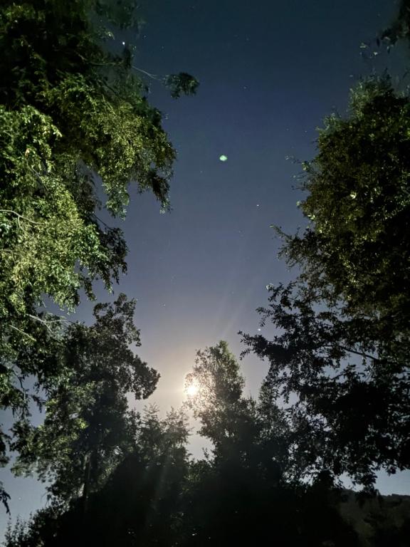 Lodge Domoñikemen, los Lleuques, termas de Chillán - 3