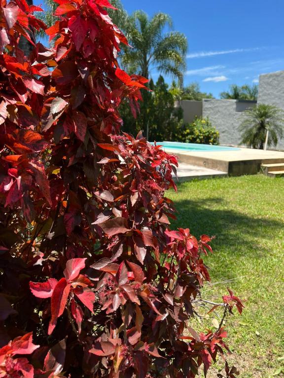 Imponente Chalet frente a la playa - 3