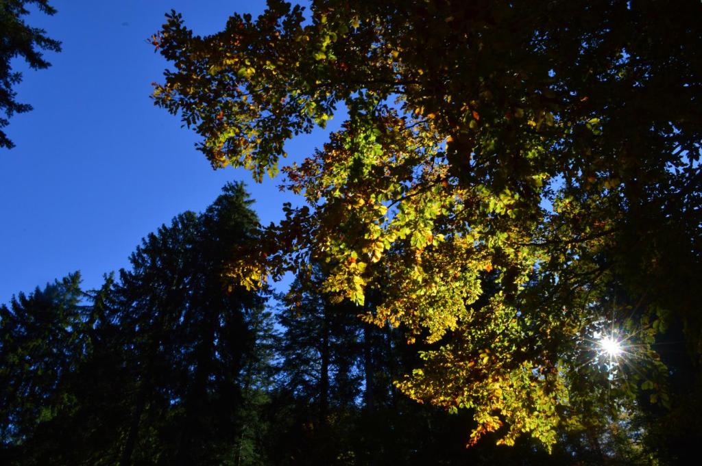 Sports and activities