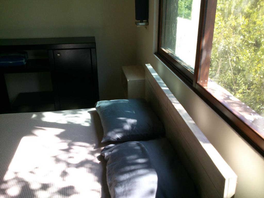 Selva Madre 203 photo