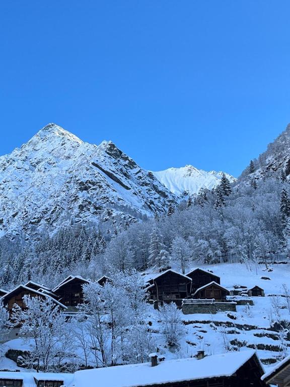 De Schoof, Mini-chalet walser avec une vue époustouflante - 3