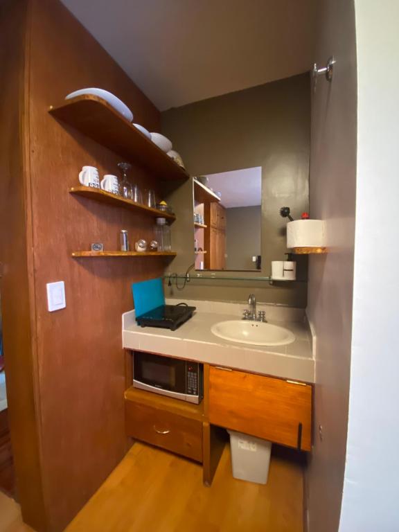 Compact Studio Apartment Casa Icacos Apt 5 - 4