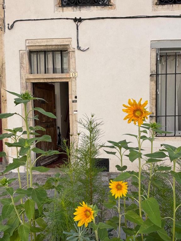 Maison Rinette - 4