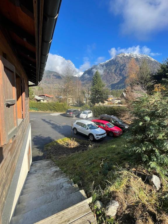 Tiny Chalet - near to Servoz train station - 2