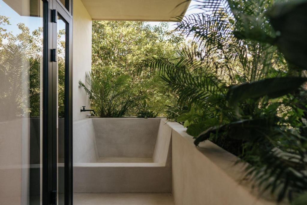 Casa Selva Grande - 2