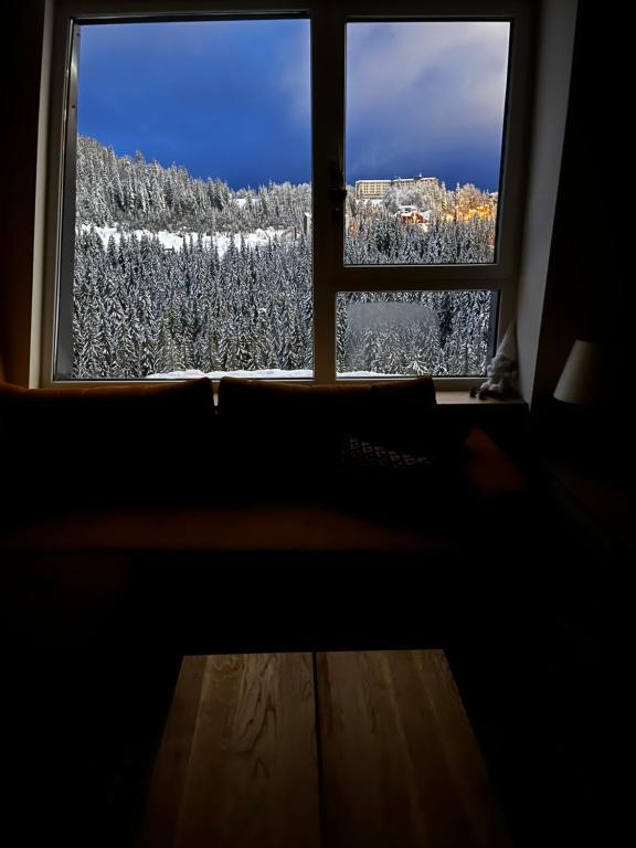 A63 Premium apartment located in hotel Vucko-private host - 3