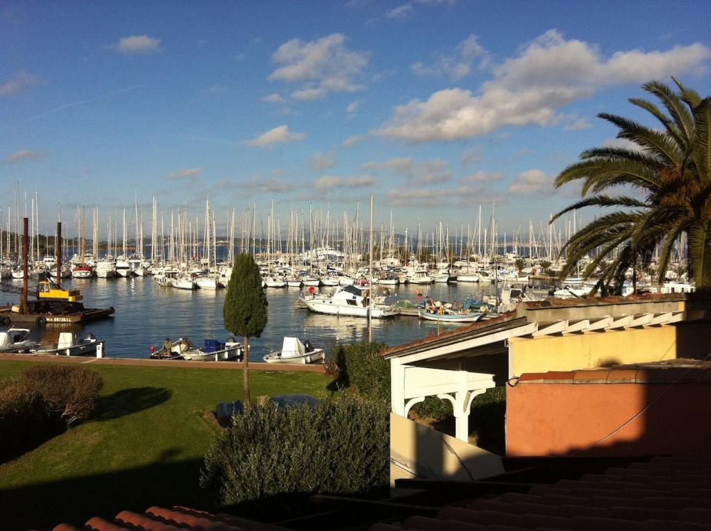 Charmant T3 avec grande terrasse vue port et mer - 1