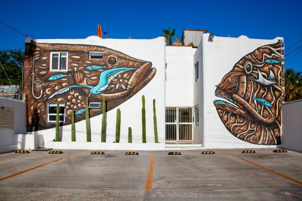 Villa Esterito - La Paz Baja California Sur - 2