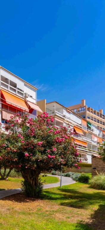 Luxury 3-bedroom apartment with magnific terrase close to beach Carihuela - 3