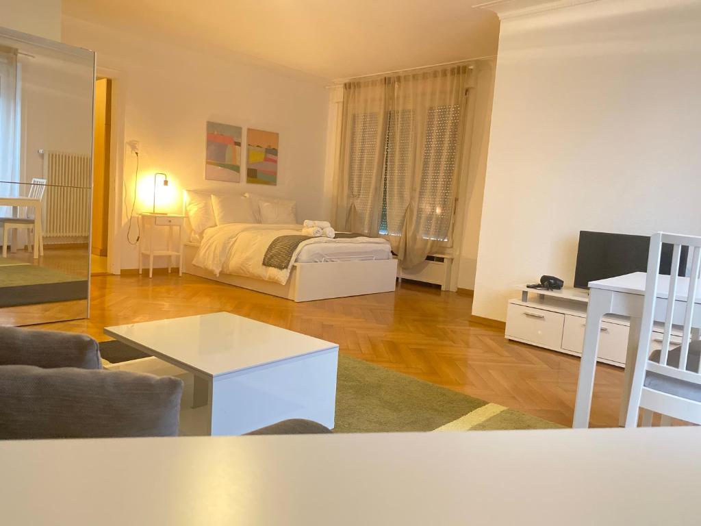 Bright & Fully Furnished Flat in Lausanne - 5