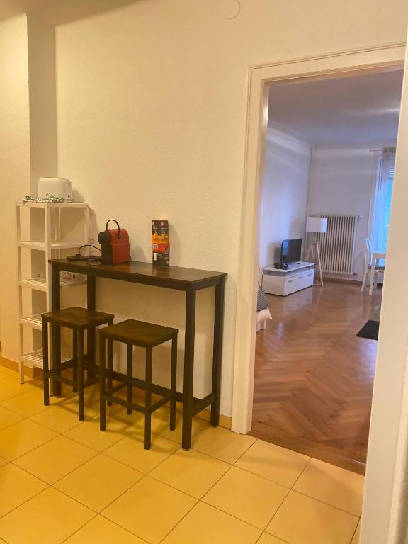 Bright & Fully Furnished Flat in Lausanne - 4