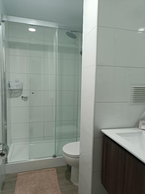Céntrico departamento 7 - 3