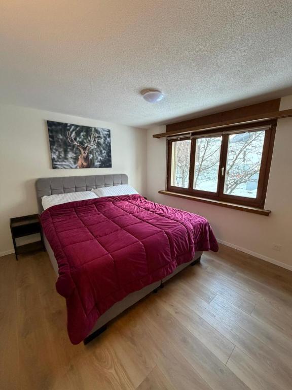 FeWo's und Apartment's Casa Martina - 5
