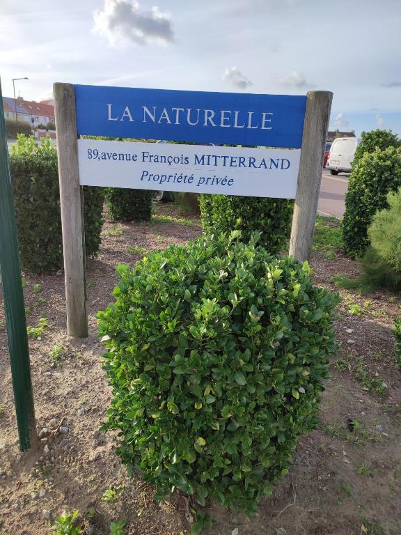 Magnifique duplex cosy avec vue mer Côte d'Opale - 2