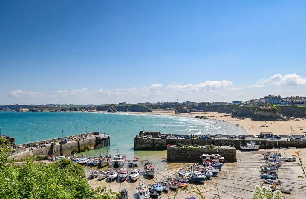 Palms 1, Newquay photo 7