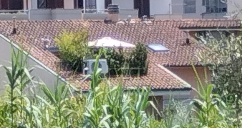 Bellini's House - 3