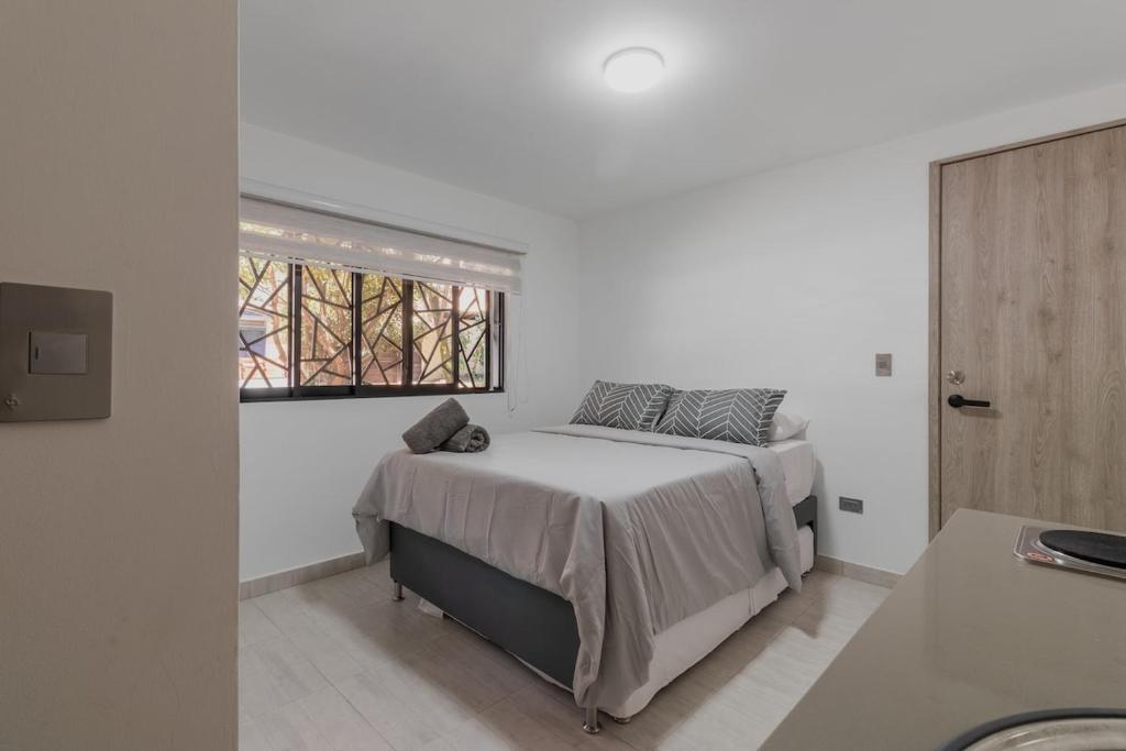 Laureles Suite 01 - 4