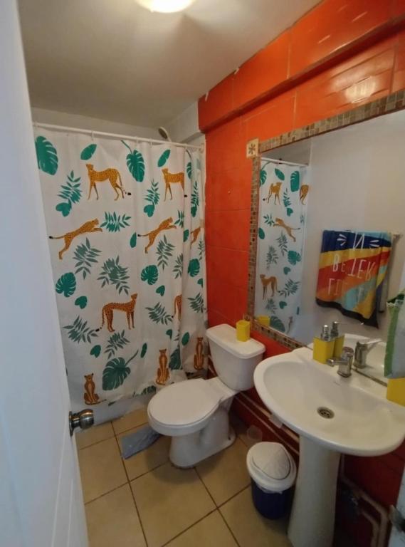 Cabaña CAMBAFE - 4