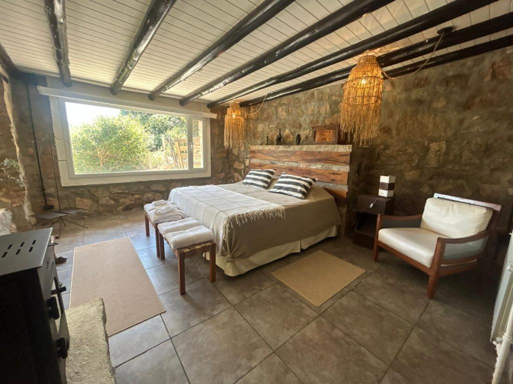suite premium en viñedo en la montaña - 5