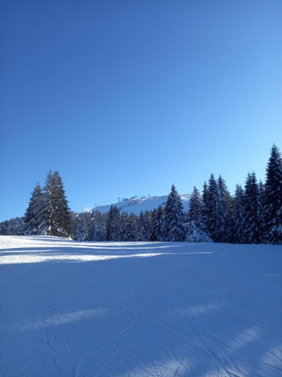 Apartman MK Kopaonik - 3