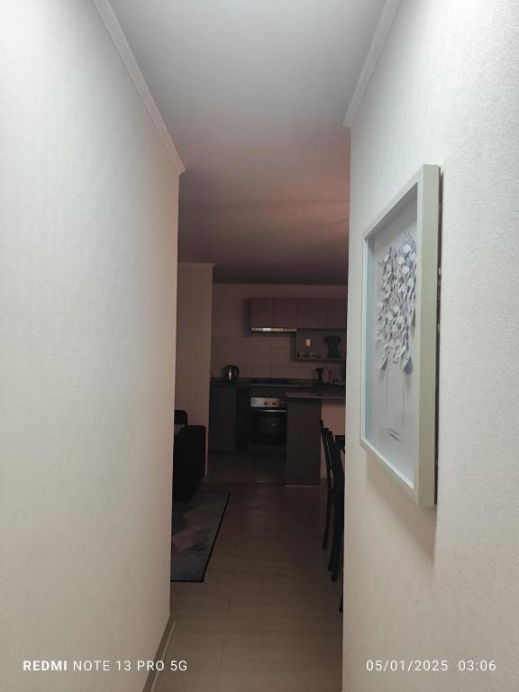 Departamento amueblado - 2