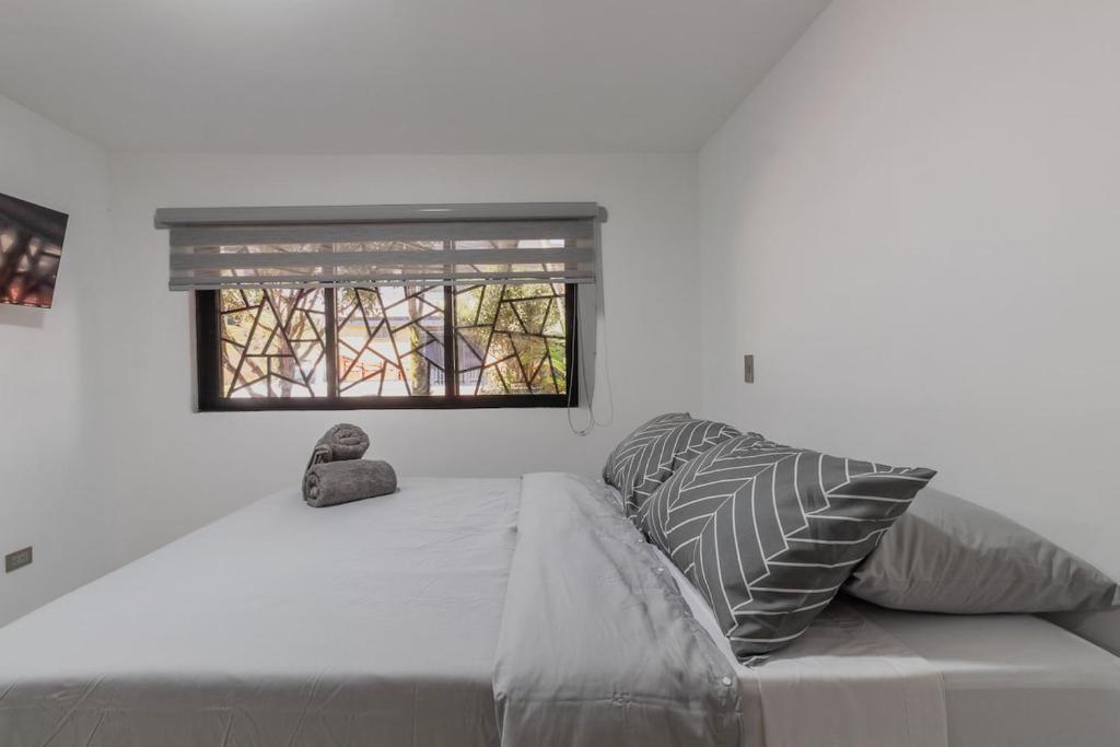 Laureles Suite 02 - 3