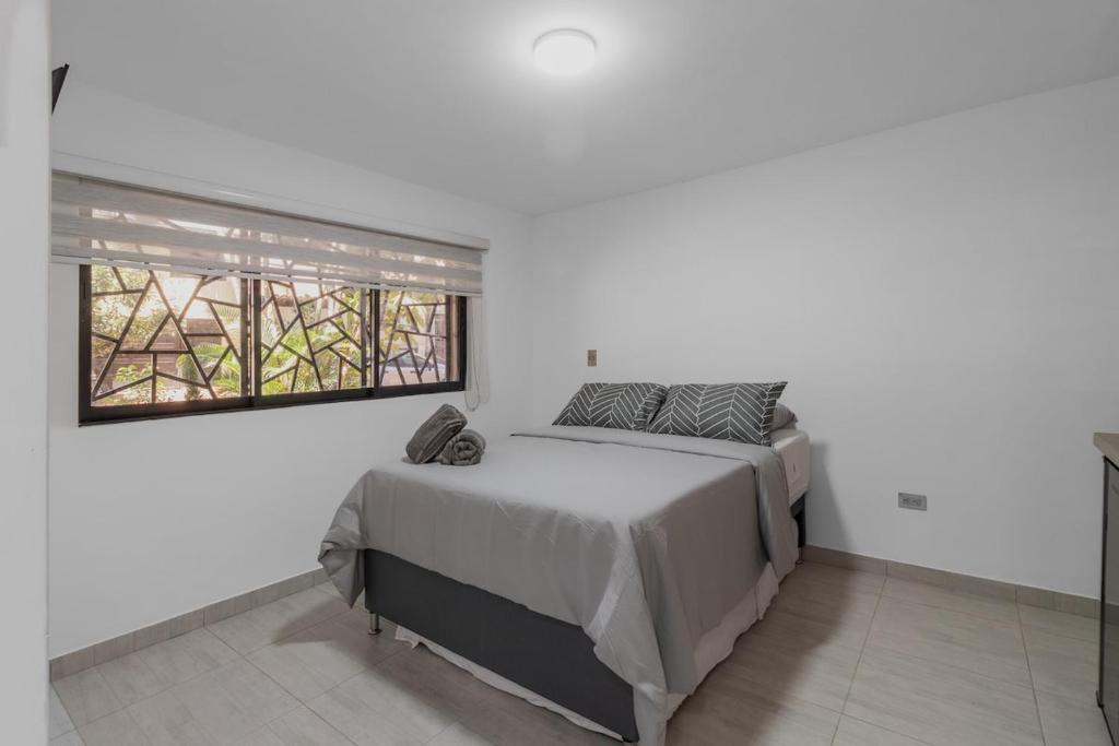 Laureles Suite 02 - 1