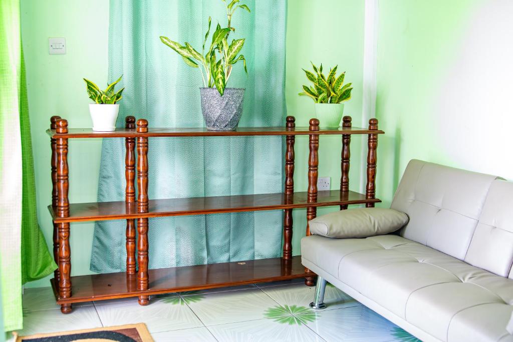 Ảnh 2
