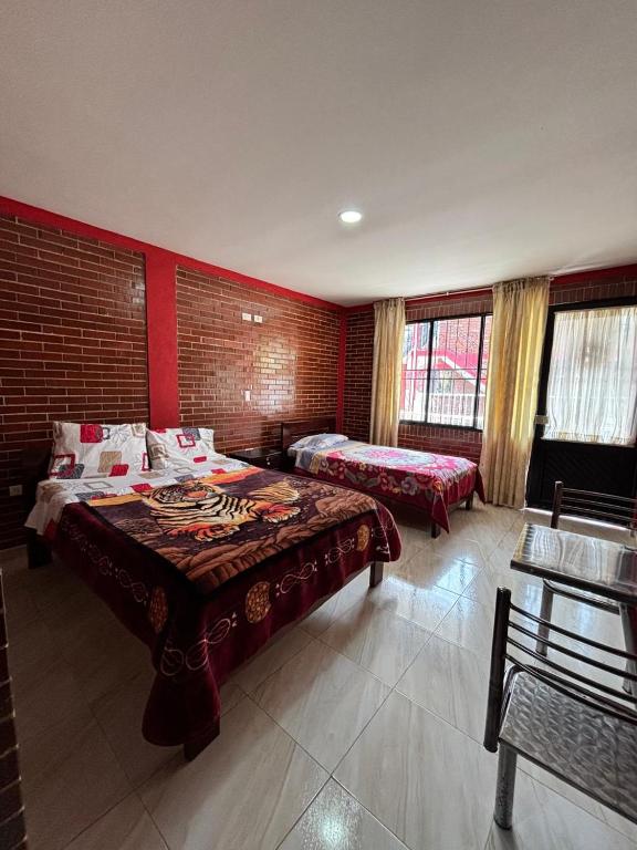 Habitaciones San Luis - 5