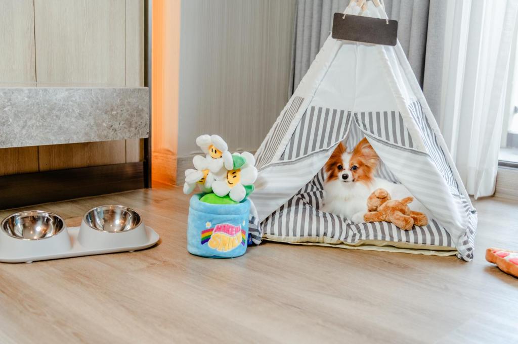 Top rated room amenities