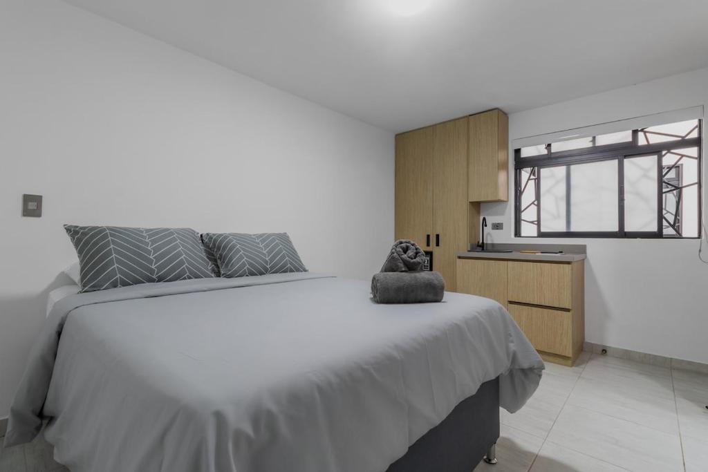 Laureles Suite 03 - 1