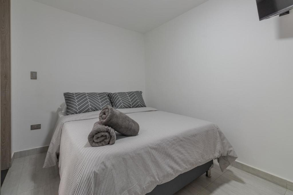 Laureles Suite 04 - 1