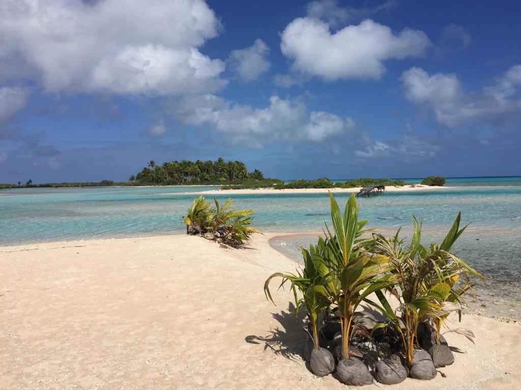 Surrounding environment