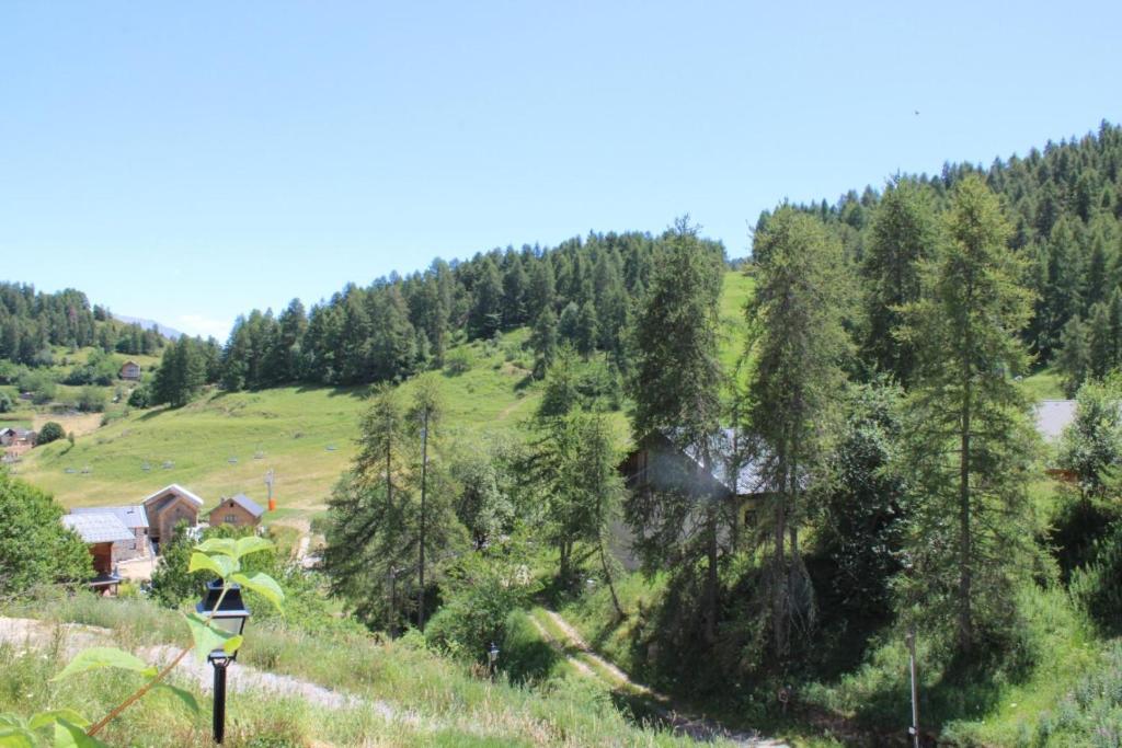 Les cerfs - 3
