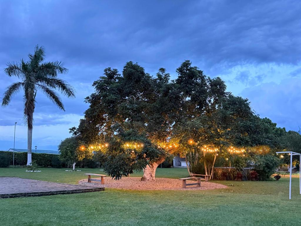 Finca Hotel Palmas Del Edén - 4