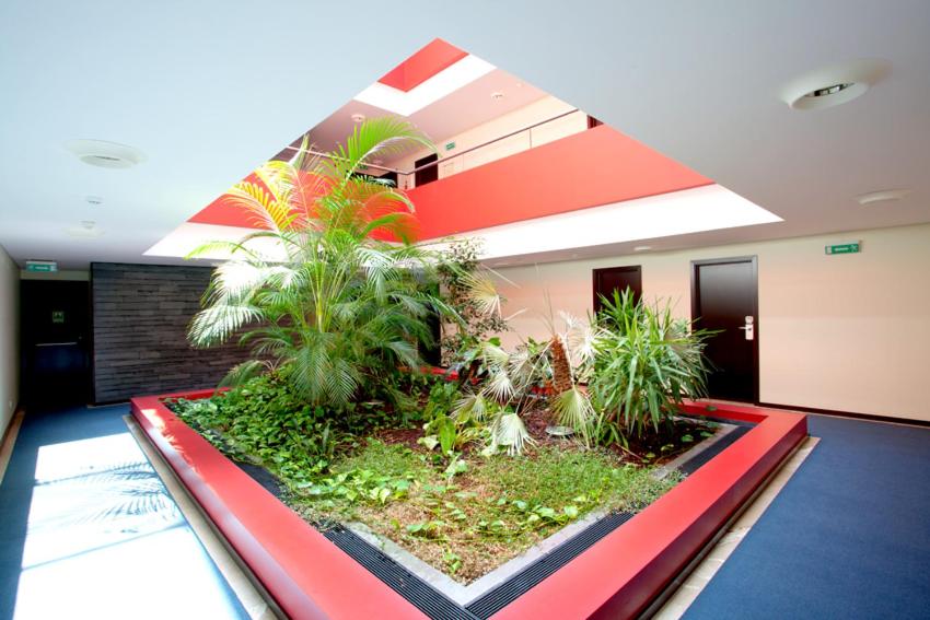 Hotel S Pedro - Arouca